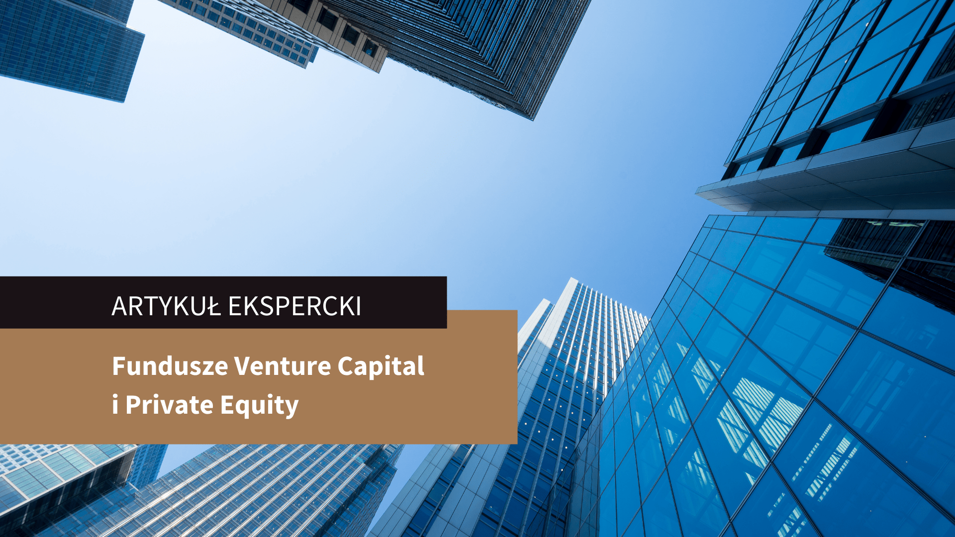 Fundusze Venture Capital i Private Equity – artykuł ekspercki