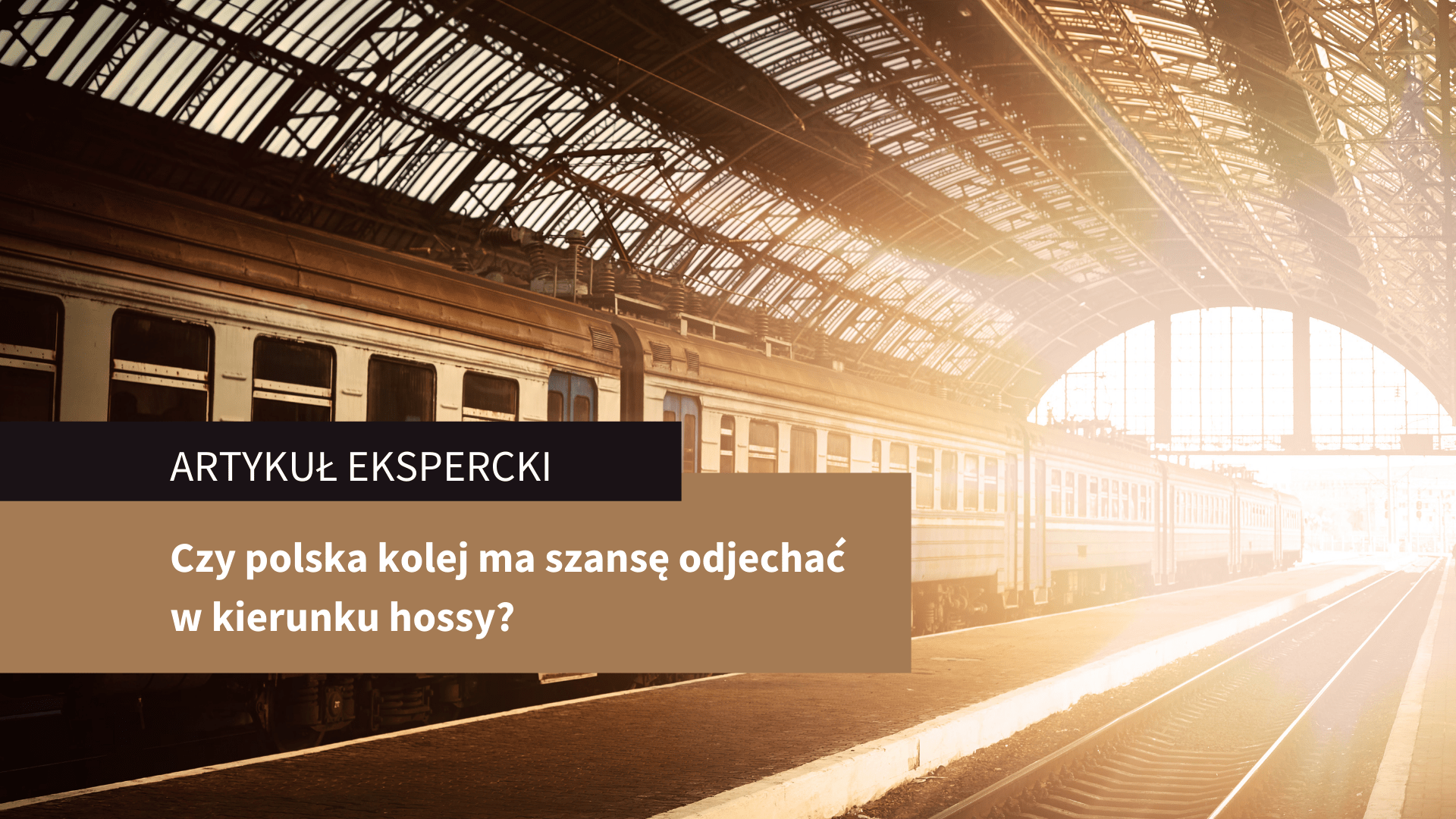 Czy polska kolej ma szansę odjechać w kierunku hossy? – artykuł ekspercki